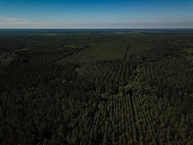 Image for ONLINE AUCTION - Thursday, September 16th