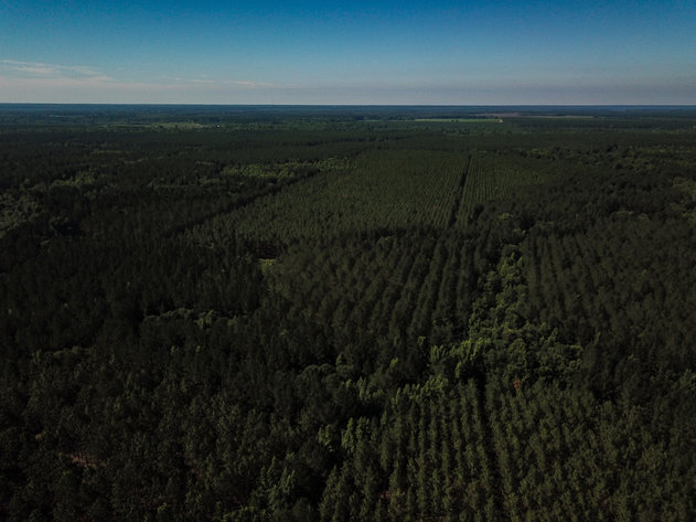 Image for ONLINE AUCTION - Thursday, September 16th