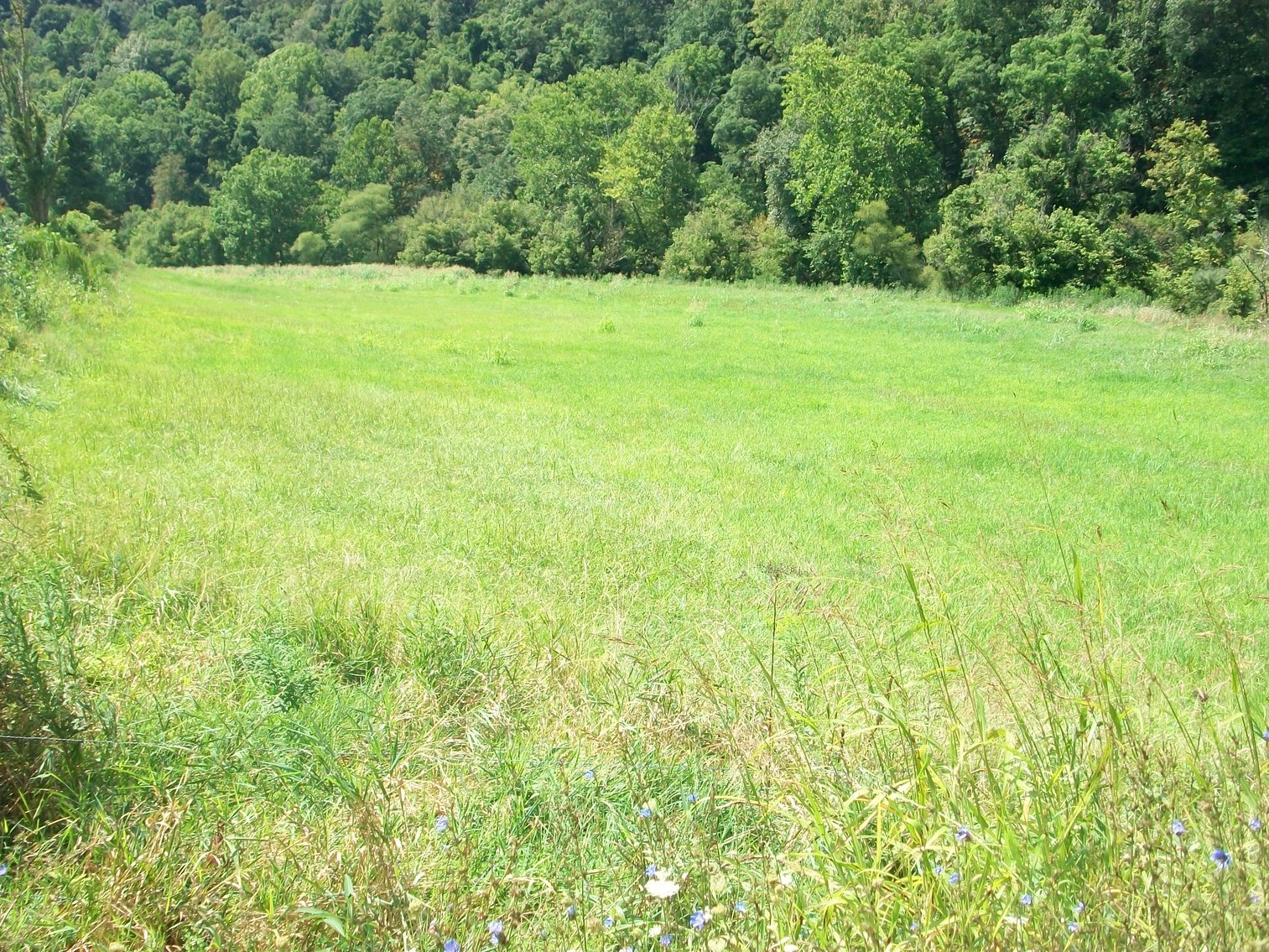 Image for ABSOLUTE FORECLOSURE AUCTION - Arnoldsburg WV