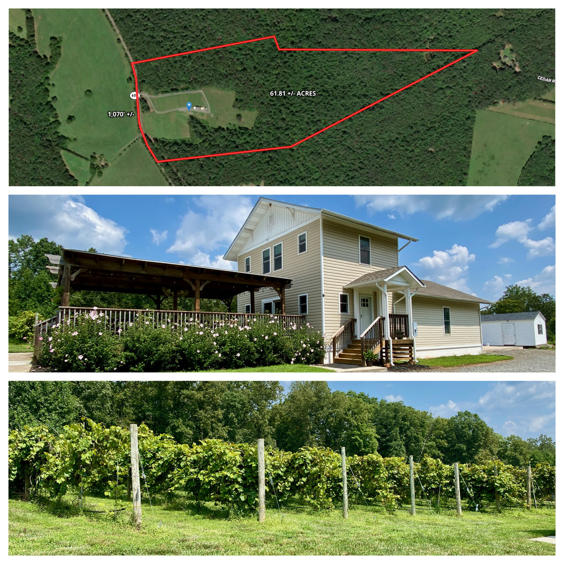 Image for 61.8 +/- Acre Farm/Winery/Vineyard w/Modern Production/Tasting Building in Orange County, VA