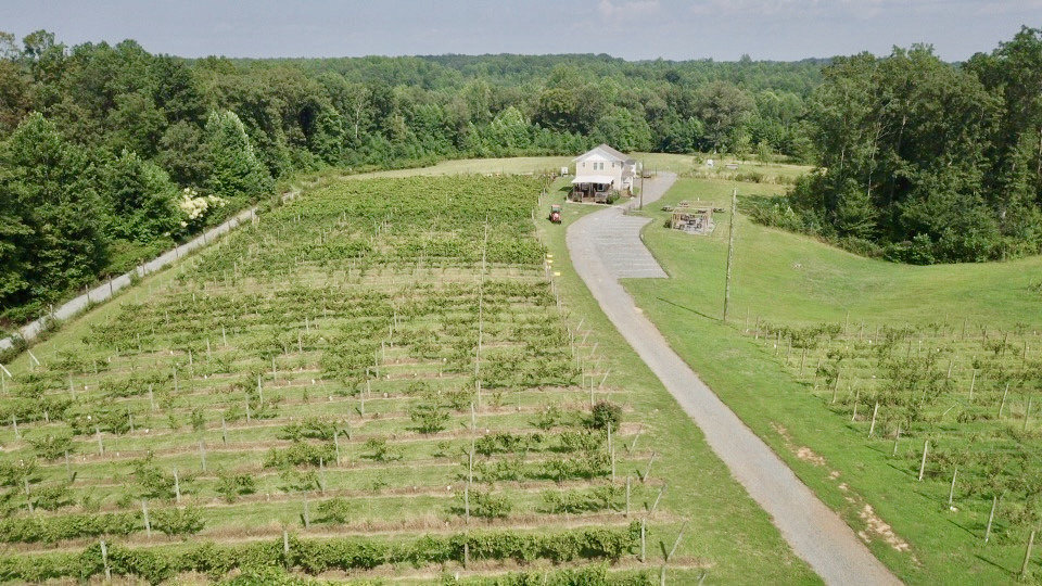 Image for 61.8 +/- Acre Farm/Winery/Vineyard w/Modern Production/Tasting Building in Orange County, VA