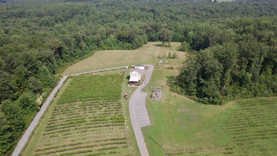 Image for 61.8 +/- Acre Farm/Winery/Vineyard w/Modern Production/Tasting Building in Orange County, VA