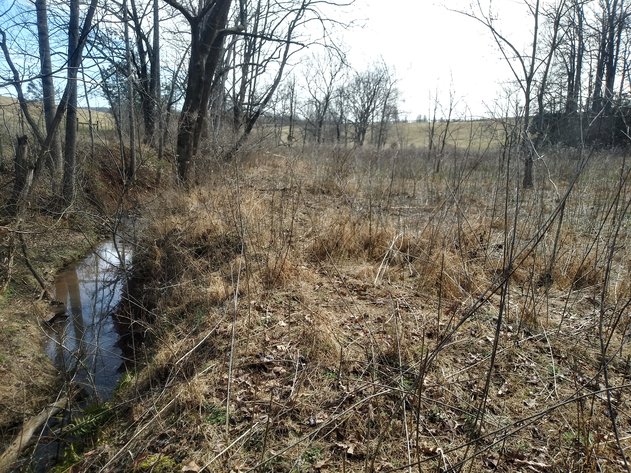 Image for Shoulder Camp Cr Bedford VA