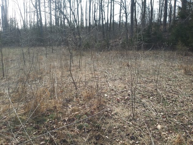 Image for Shoulder Camp Cr Bedford VA