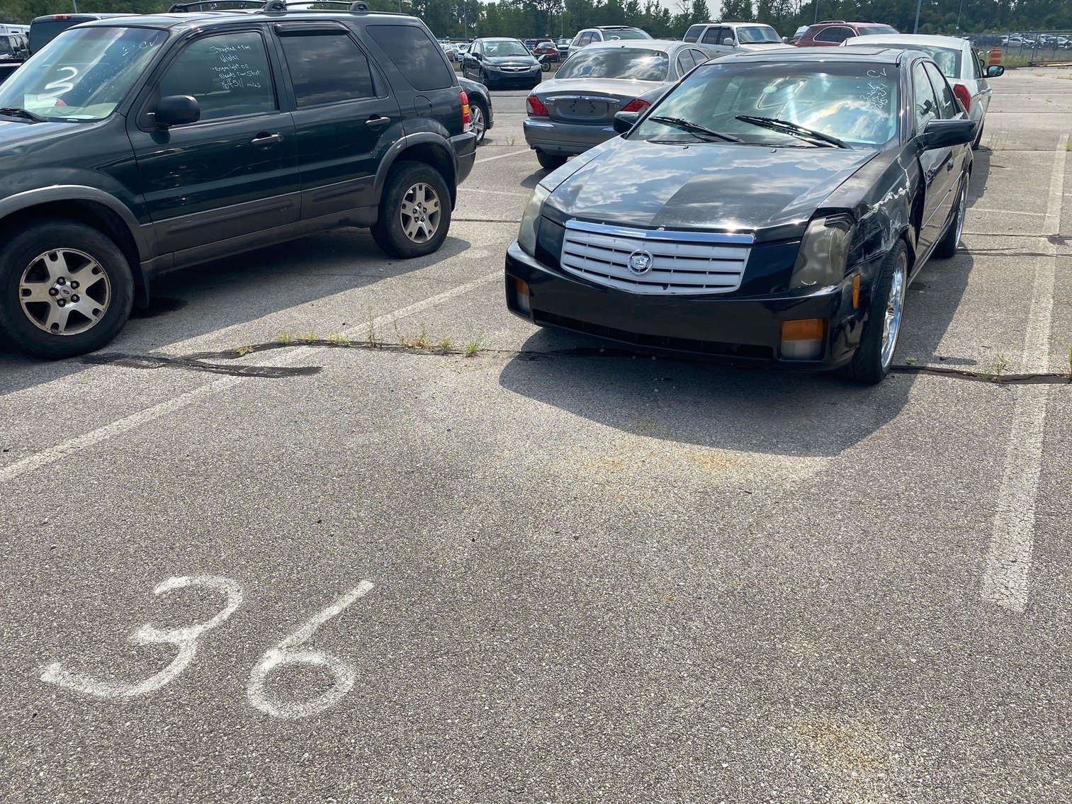 Image for Toledo Police Seized Vehicles