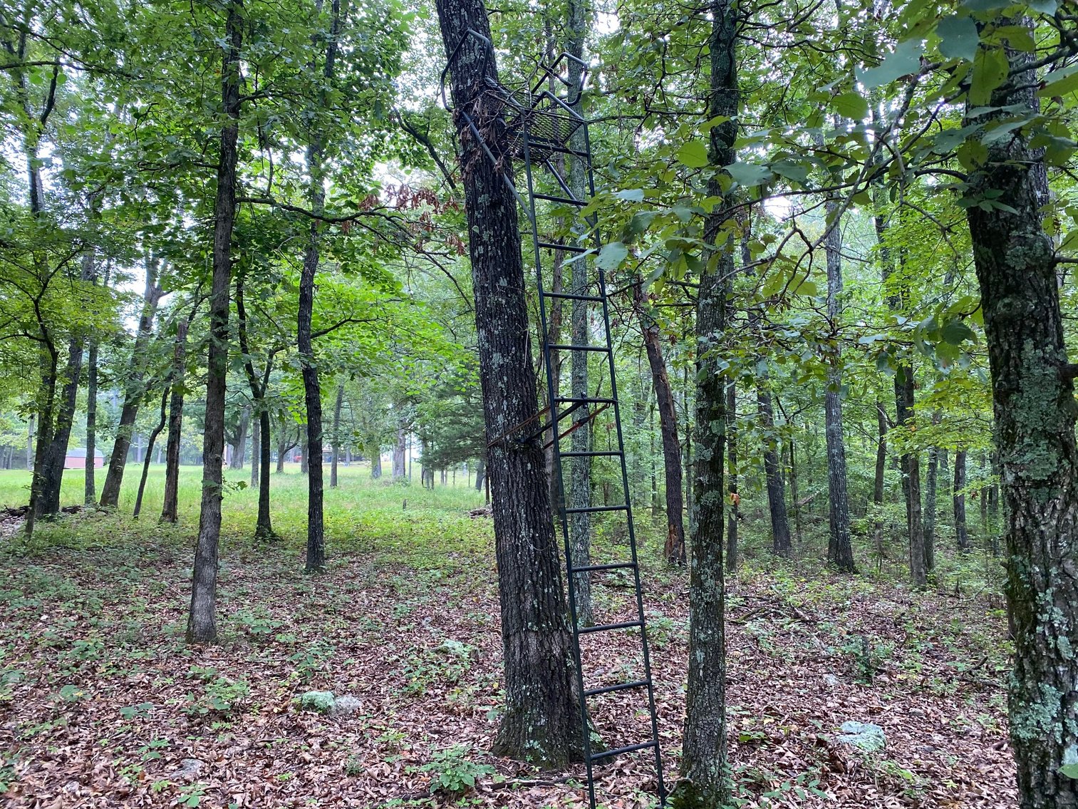 Image for PUBLIC AUCTION - SATURDAY, SEPTEMBER 4, 10:00 A.M.