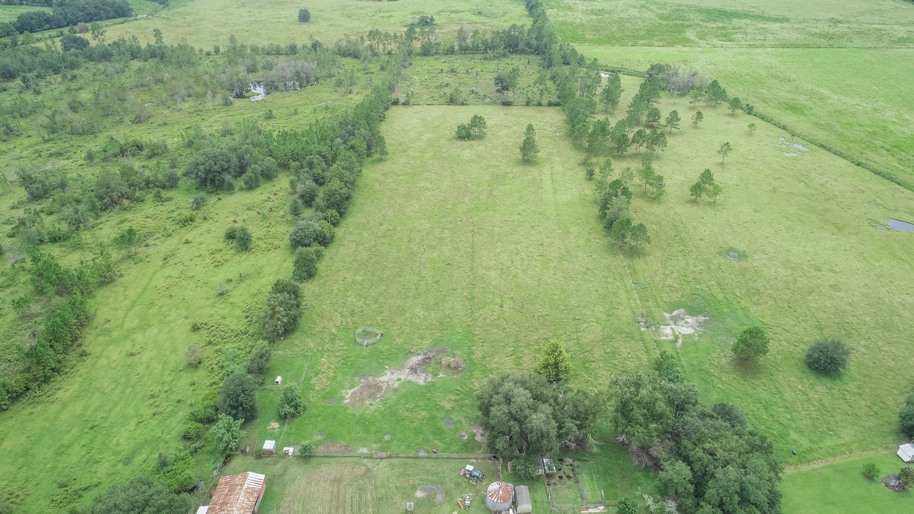 Image for 23 Acre Mini Farm and Home - Thomas County, Georgia