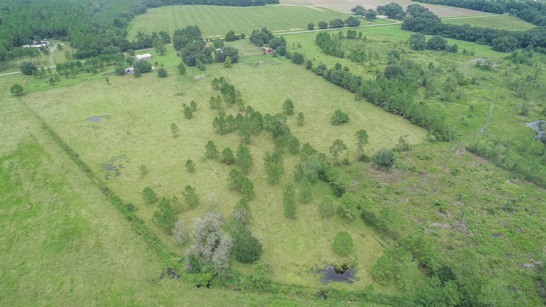 Image for 23 Acre Mini Farm and Home - Thomas County, Georgia