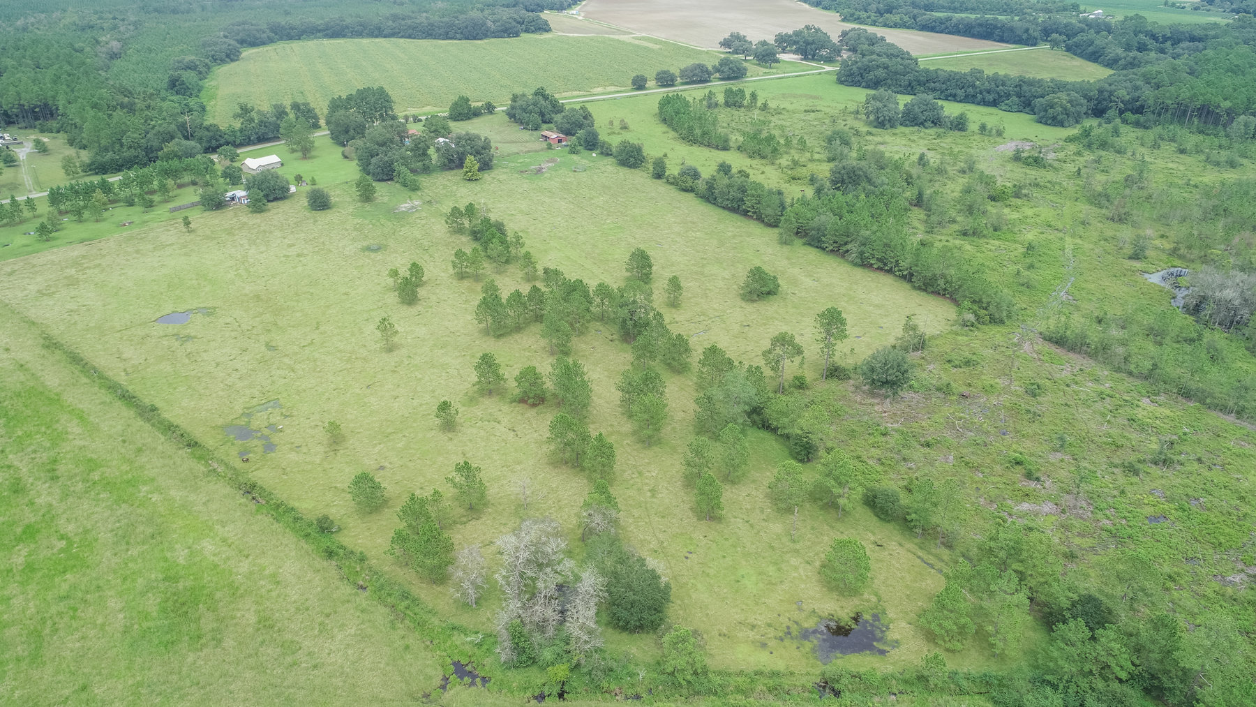 Image for 23 Acre Mini Farm and Home - Thomas County, Georgia