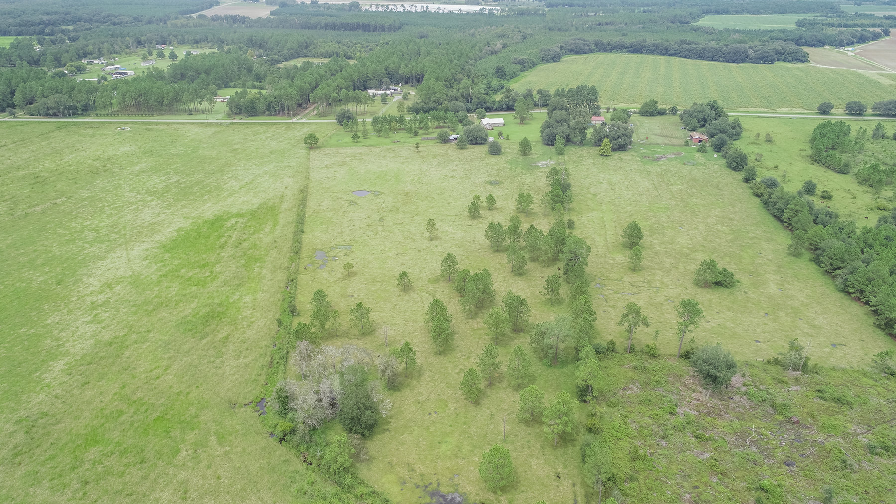 Image for 23 Acre Mini Farm and Home - Thomas County, Georgia