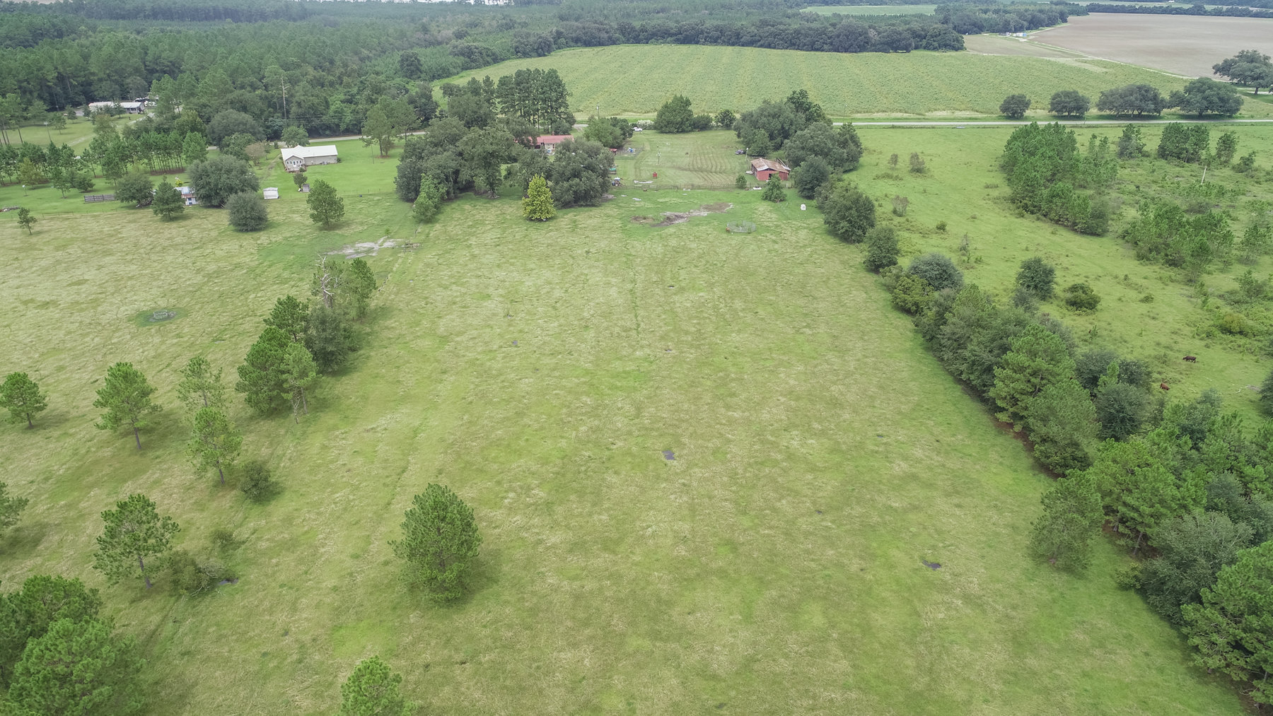 Image for 23 Acre Mini Farm and Home - Thomas County, Georgia