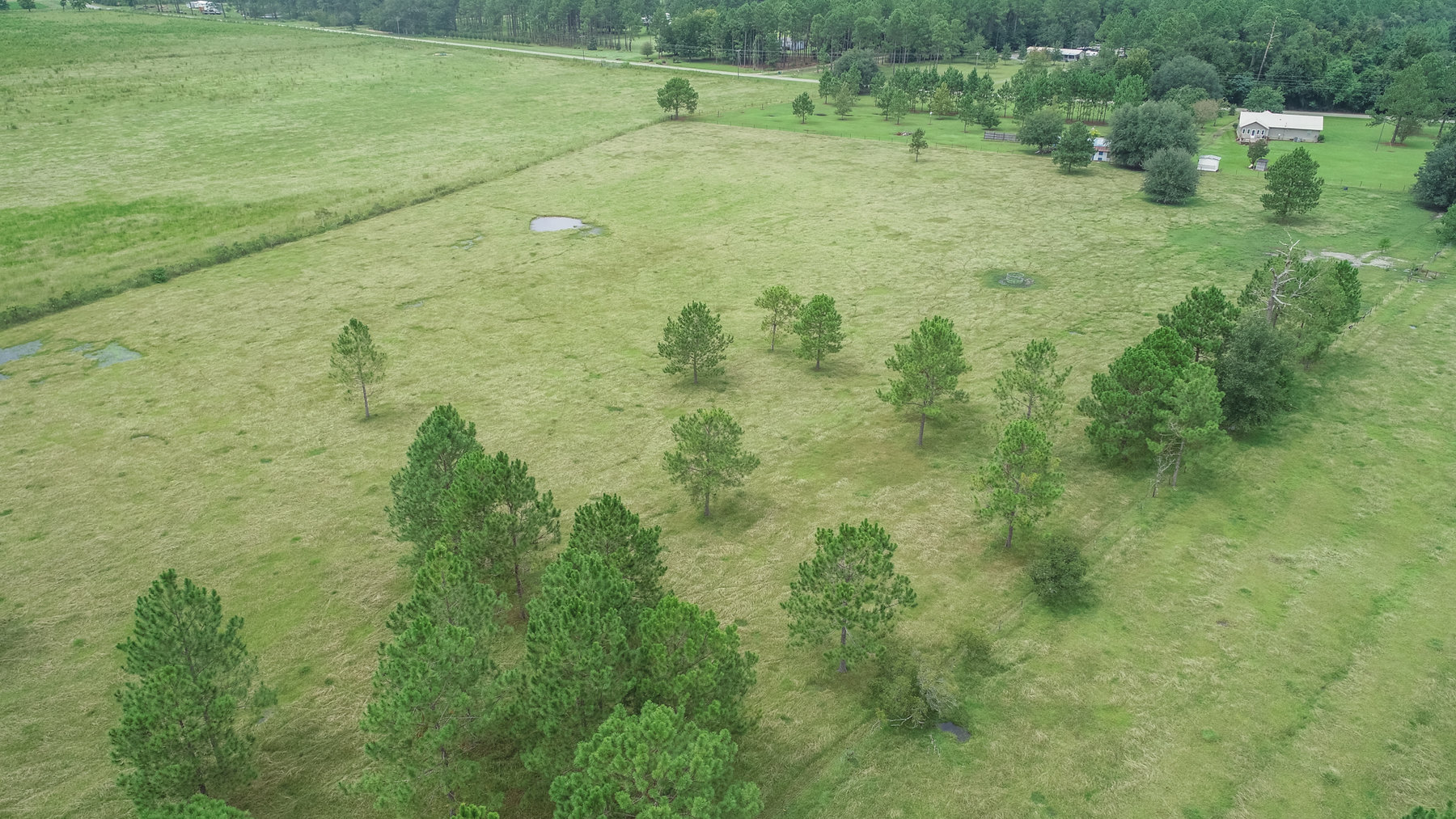 Image for 23 Acre Mini Farm and Home - Thomas County, Georgia