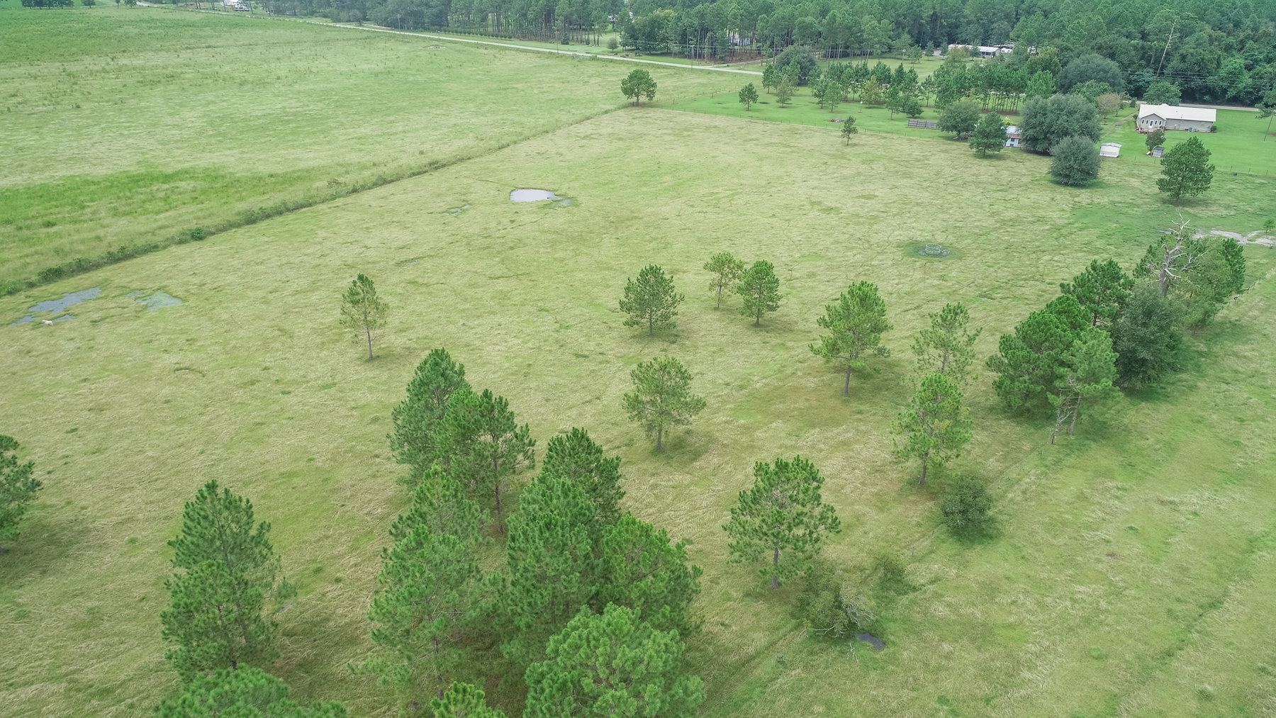 Image for 23 Acre Mini Farm and Home - Thomas County, Georgia