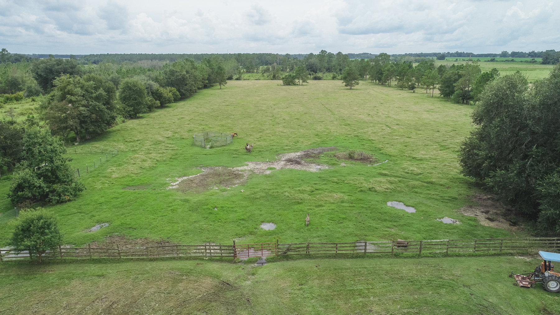 Image for 23 Acre Mini Farm and Home - Thomas County, Georgia