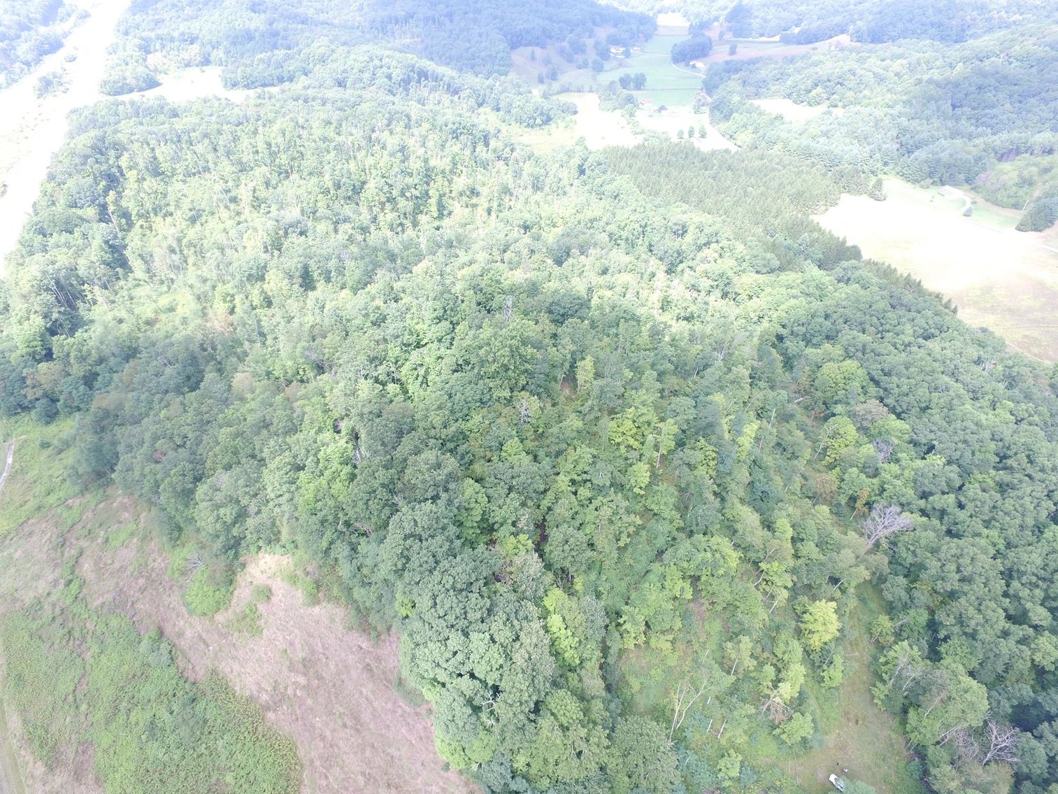 Image for SOLD $99,000 - 43 Acres with I-64 Frontage & Mineral Rights near Lewisburg