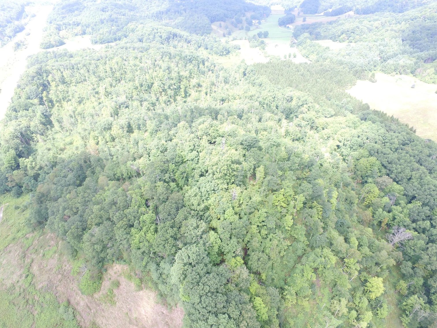 Image for SOLD $99,000 - 43 Acres with I-64 Frontage & Mineral Rights near Lewisburg