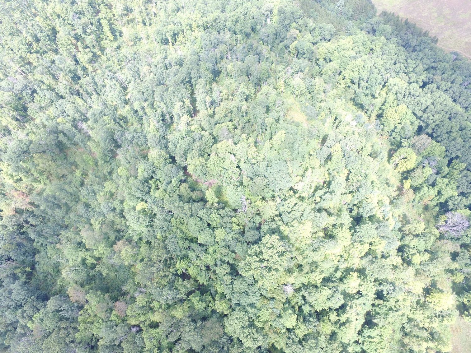 Image for SOLD $99,000 - 43 Acres with I-64 Frontage & Mineral Rights near Lewisburg