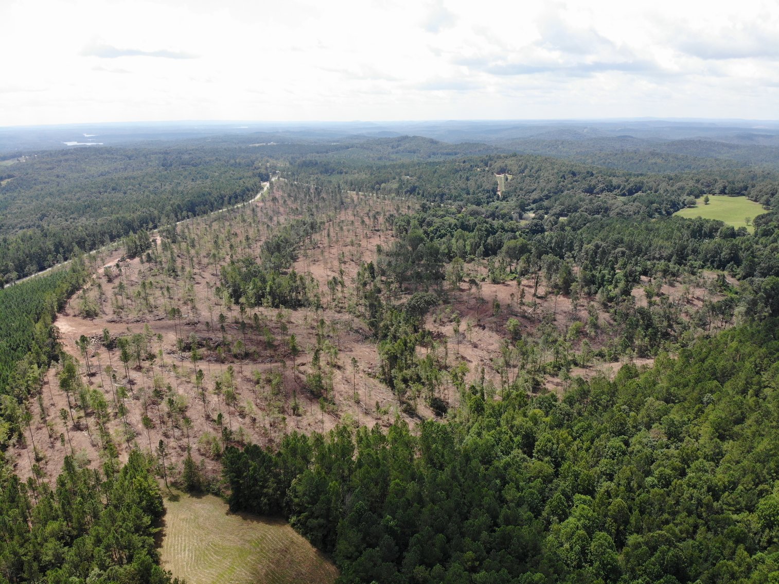 Image for 90 Acres Randolph County