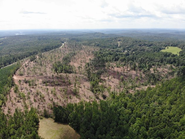 Image for 90 Acres Randolph County