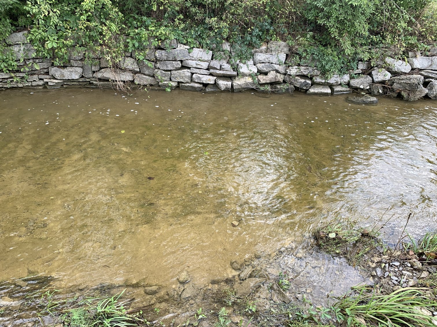 Image for 6235 Cedar Grove Road, Murfreesboro