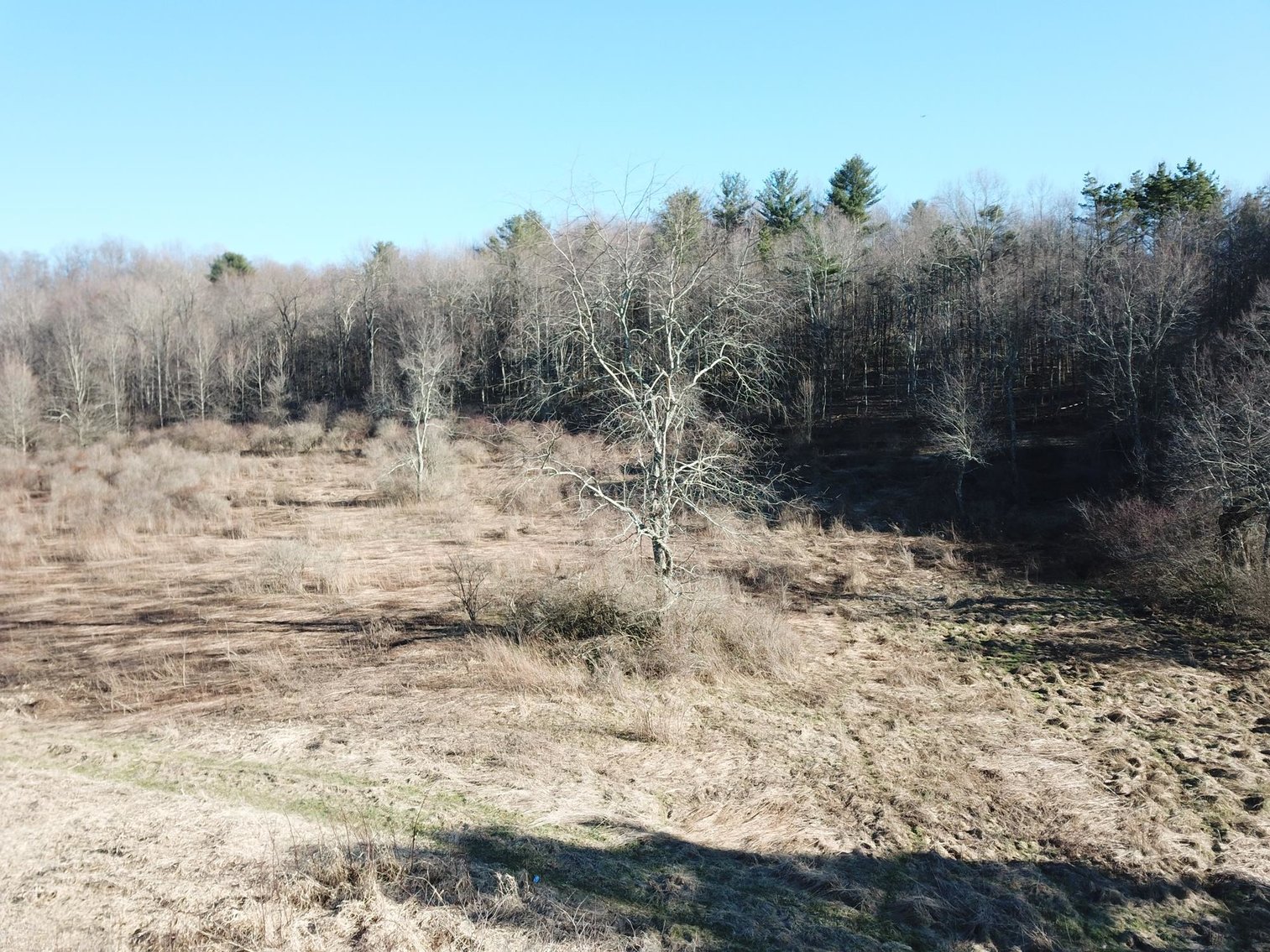 Image for SOLD $80,300 - 26.17+/- Acres of Developable Land