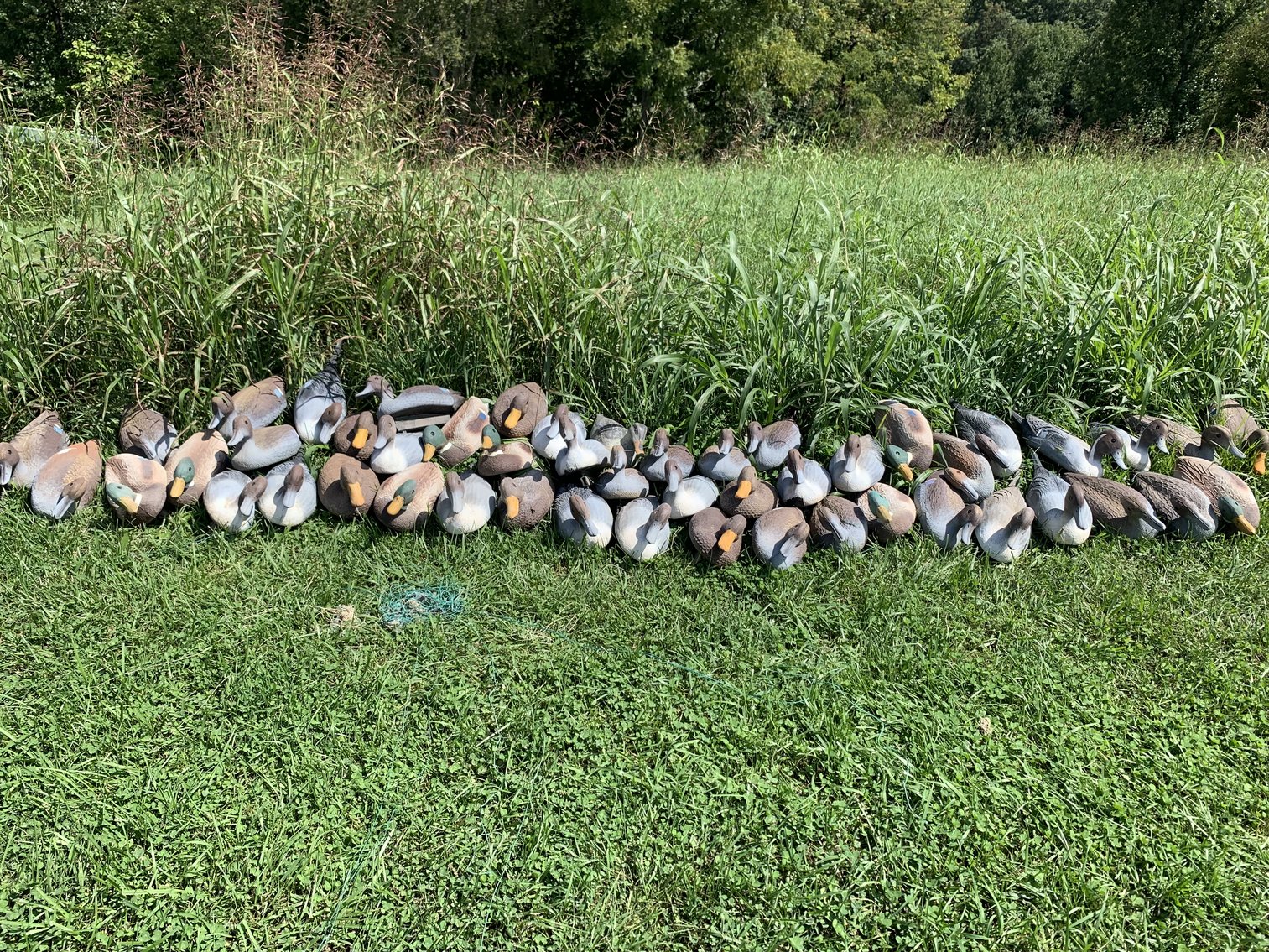 Image for Wahl Relocation Auction