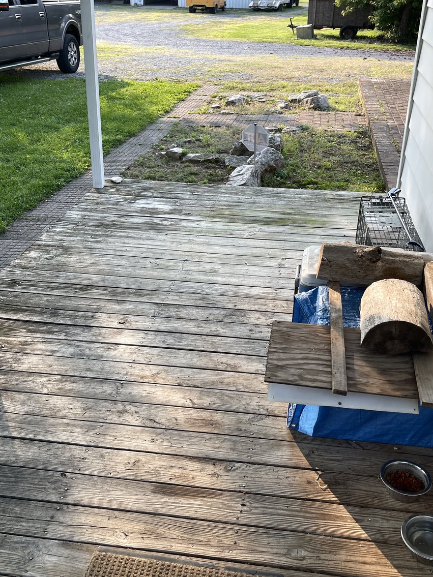 Image for 3 BR/1 BA Home w/2 Quality Shop/Garage Buildings on 3.25 +/- Acres Near I-81 & 66 in Frederick County, VA