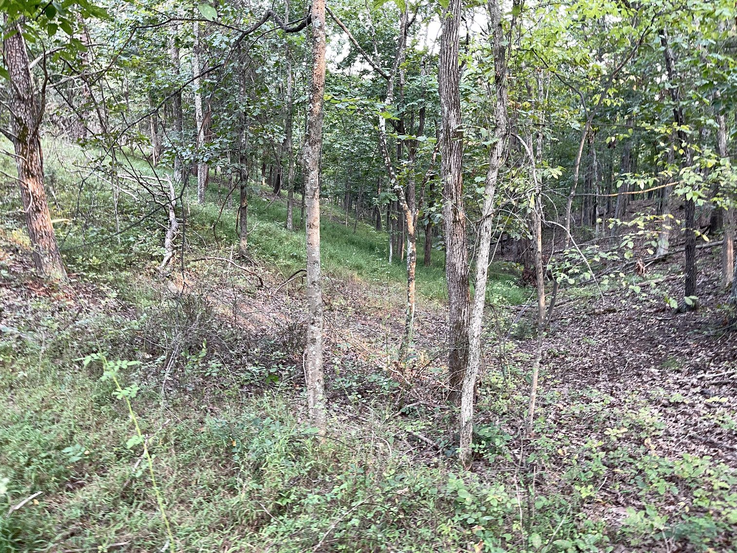 Image for 49.62 +/- Acres w/Income Producing Home, Pond & 2 Bay Shop/Garage--Frederick County, VA