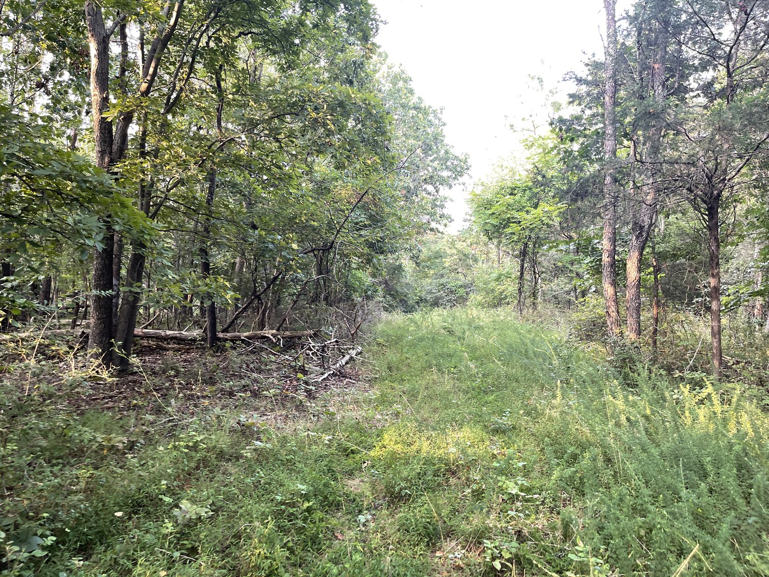 Image for 49.62 +/- Acres w/Income Producing Home, Pond & 2 Bay Shop/Garage--Frederick County, VA