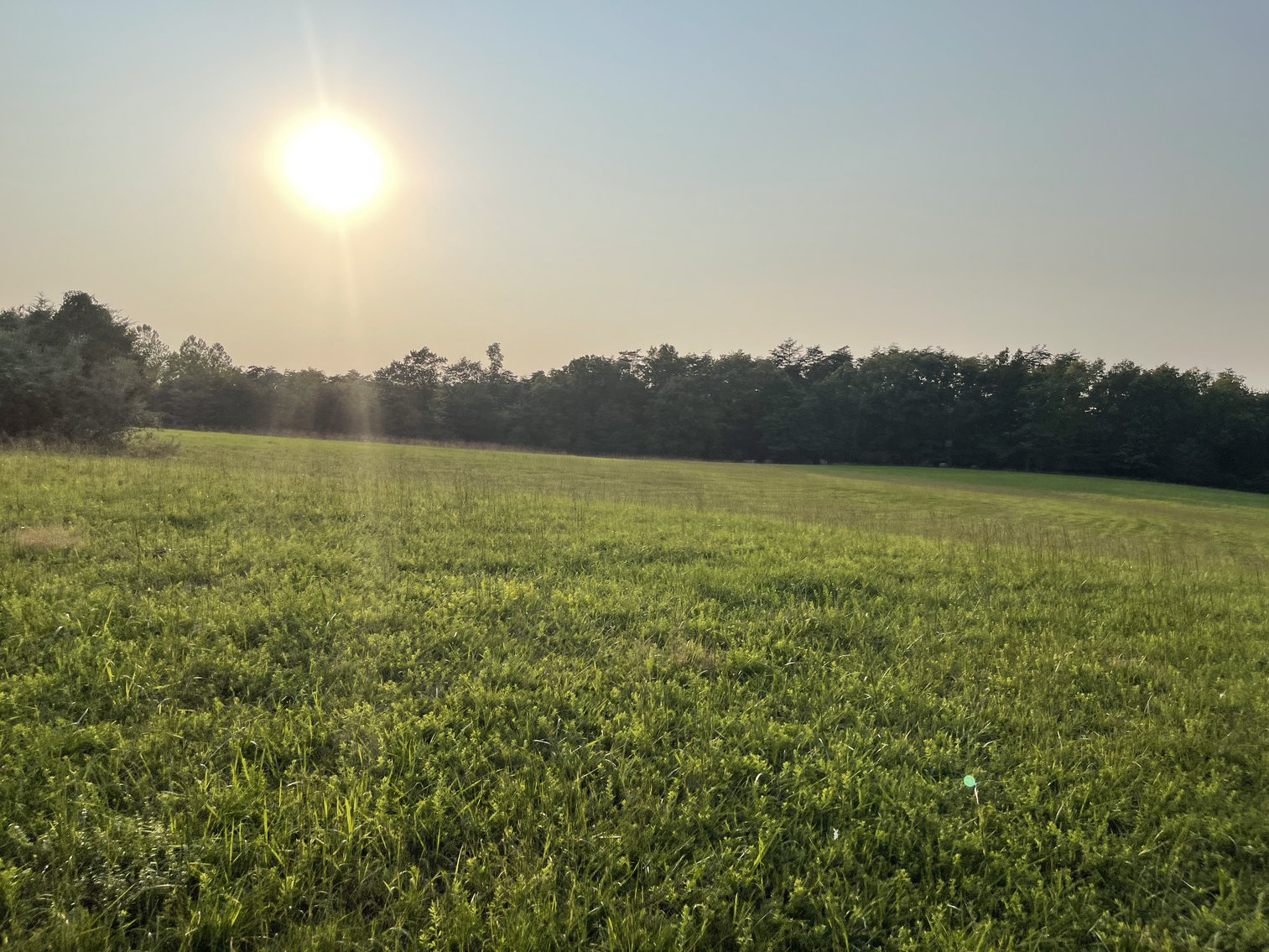 Image for 49.62 +/- Acres w/Income Producing Home, Pond & 2 Bay Shop/Garage--Frederick County, VA