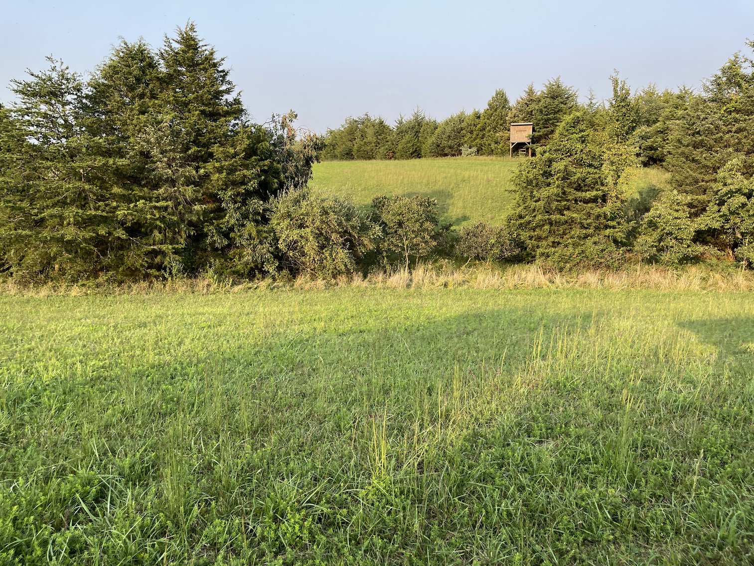 Image for 49.62 +/- Acres w/Income Producing Home, Pond & 2 Bay Shop/Garage--Frederick County, VA