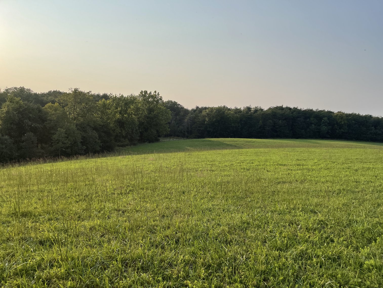 Image for 49.62 +/- Acres w/Income Producing Home, Pond & 2 Bay Shop/Garage--Frederick County, VA