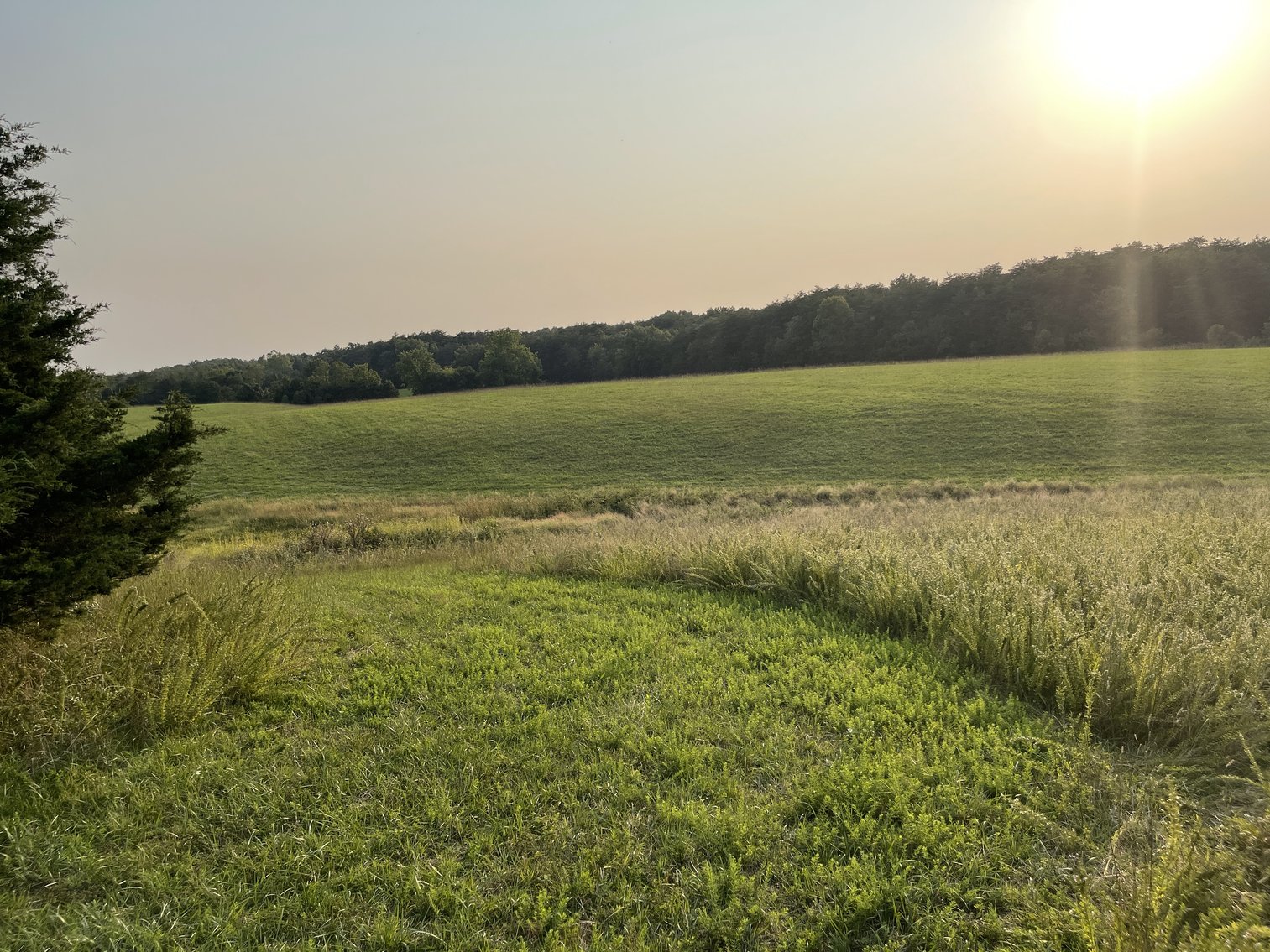 Image for 49.62 +/- Acres w/Income Producing Home, Pond & 2 Bay Shop/Garage--Frederick County, VA