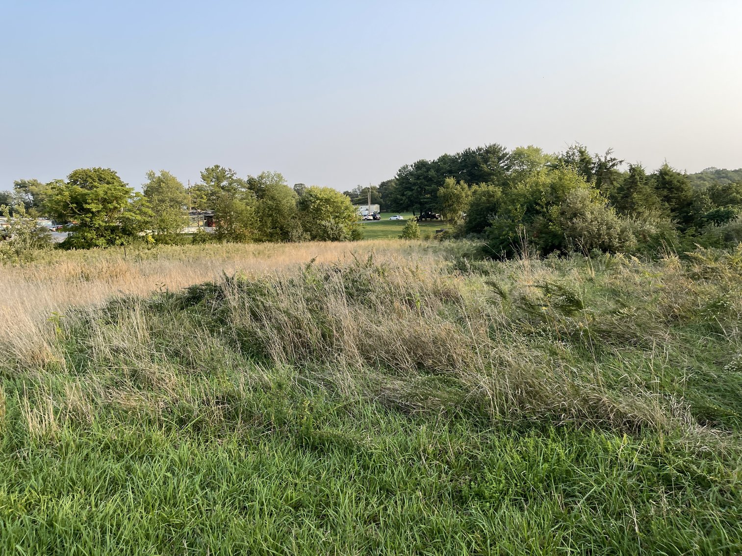 Image for 49.62 +/- Acres w/Income Producing Home, Pond & 2 Bay Shop/Garage--Frederick County, VA