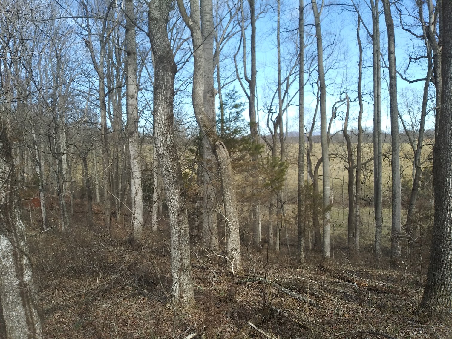 Image for Shoulder Camp Cr Bedford VA