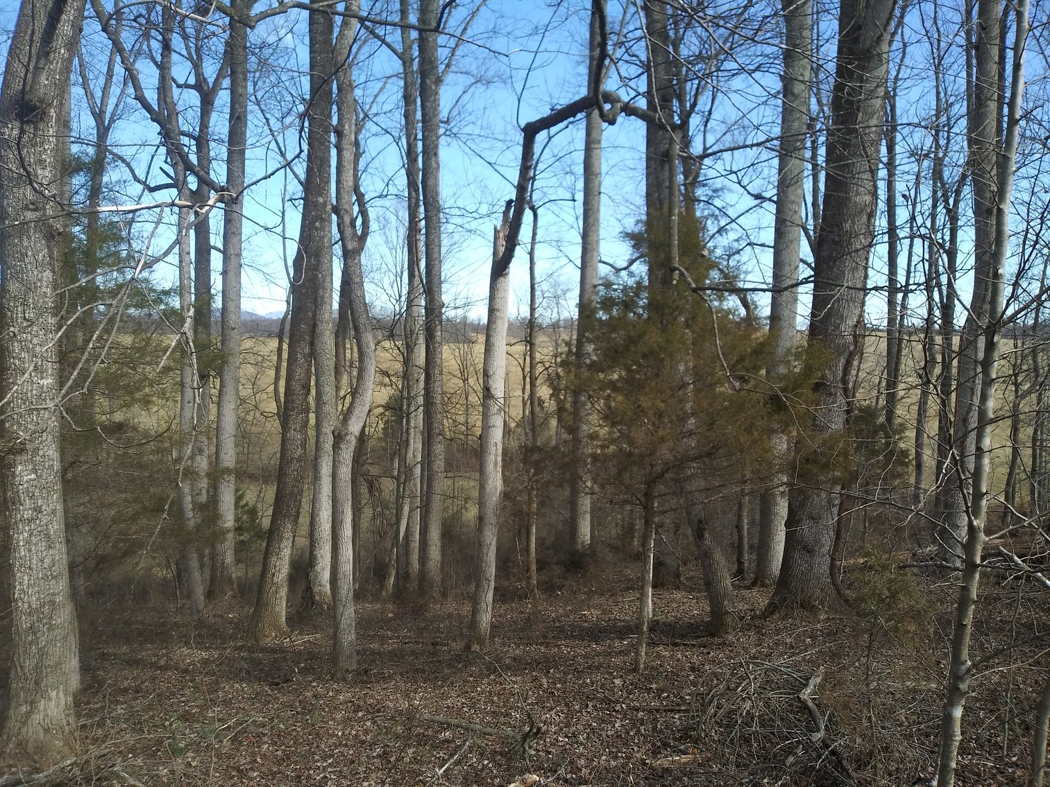 Image for Shoulder Camp Cr Bedford VA