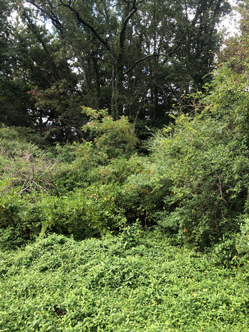 Image for Henrico County, VA Tax Delinquent Real Estate Sale October 12, 2021