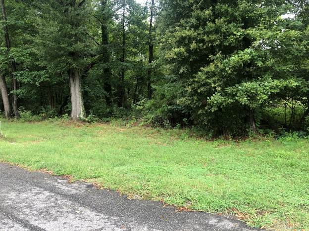 Image for Henrico County, VA Tax Delinquent Real Estate Sale October 12, 2021