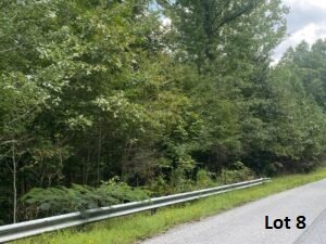 Image for Property on Church Spring Rd - County of Greensville - Tax Map # 54-1-1A