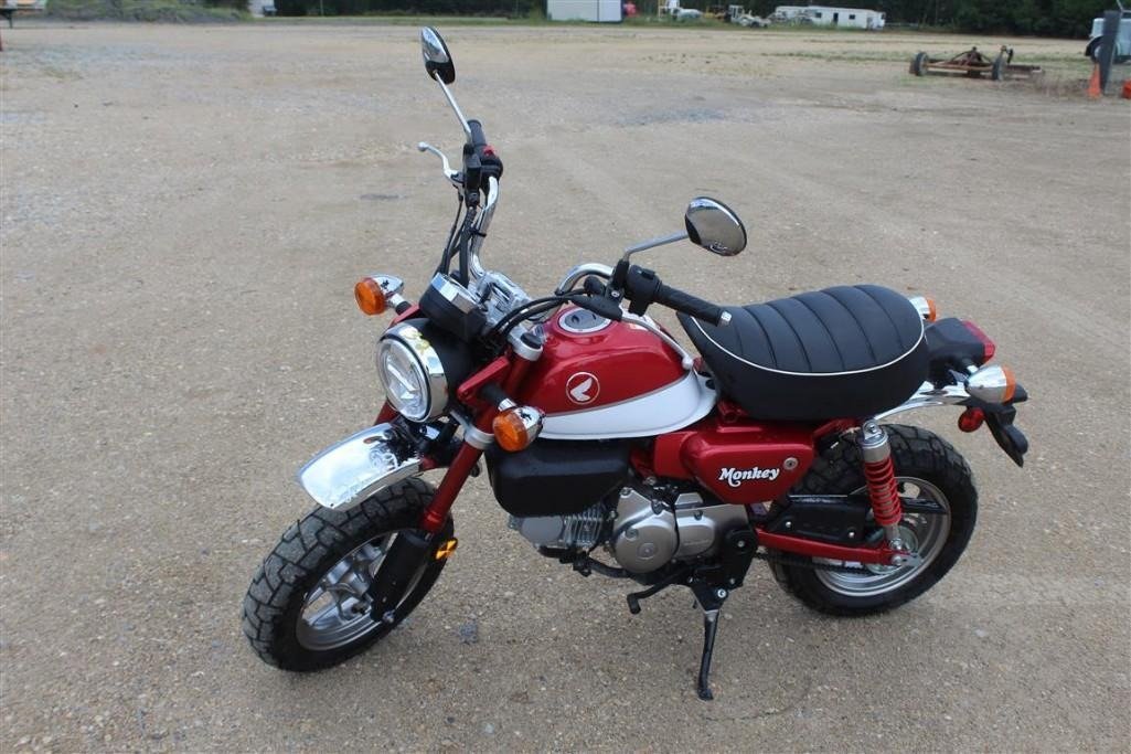 2019 HONDA MONKEY MINI BIKE  