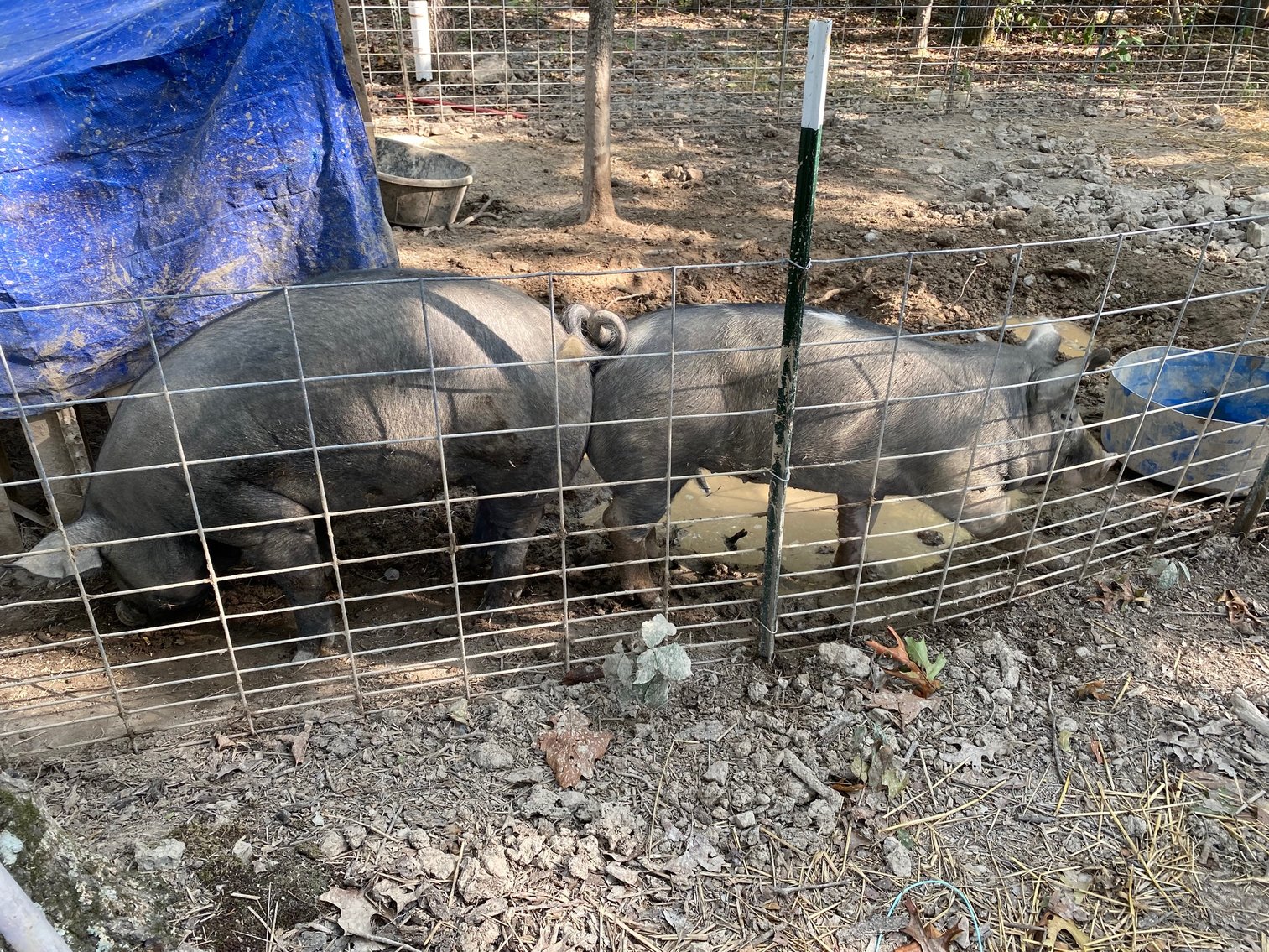 Image for PUBLIC AUCTION -  Monday, oct. 4, 10:00 A.M.