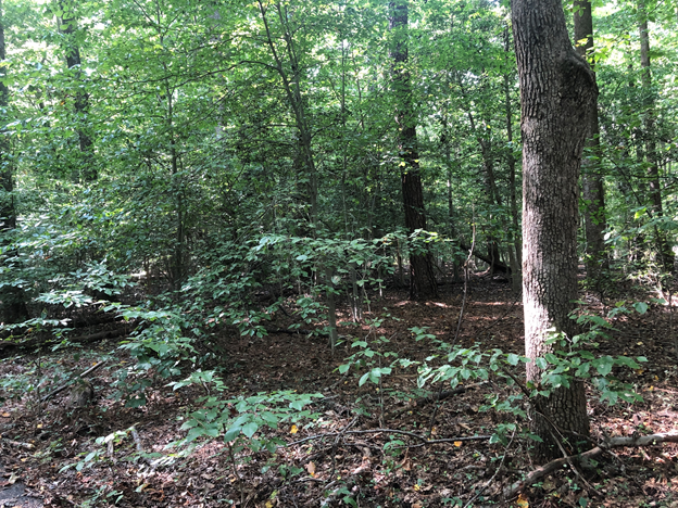 Image for Fairfax County, VA Tax Delinquent Real Estate November 9, 2021