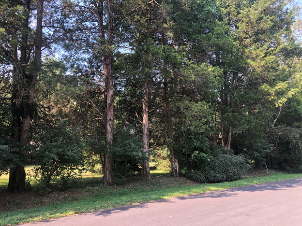 Image for Fairfax County, VA Tax Delinquent Real Estate November 9, 2021