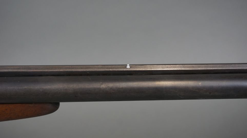 Image for Second Amendment Gun & Ammo Auction 2021