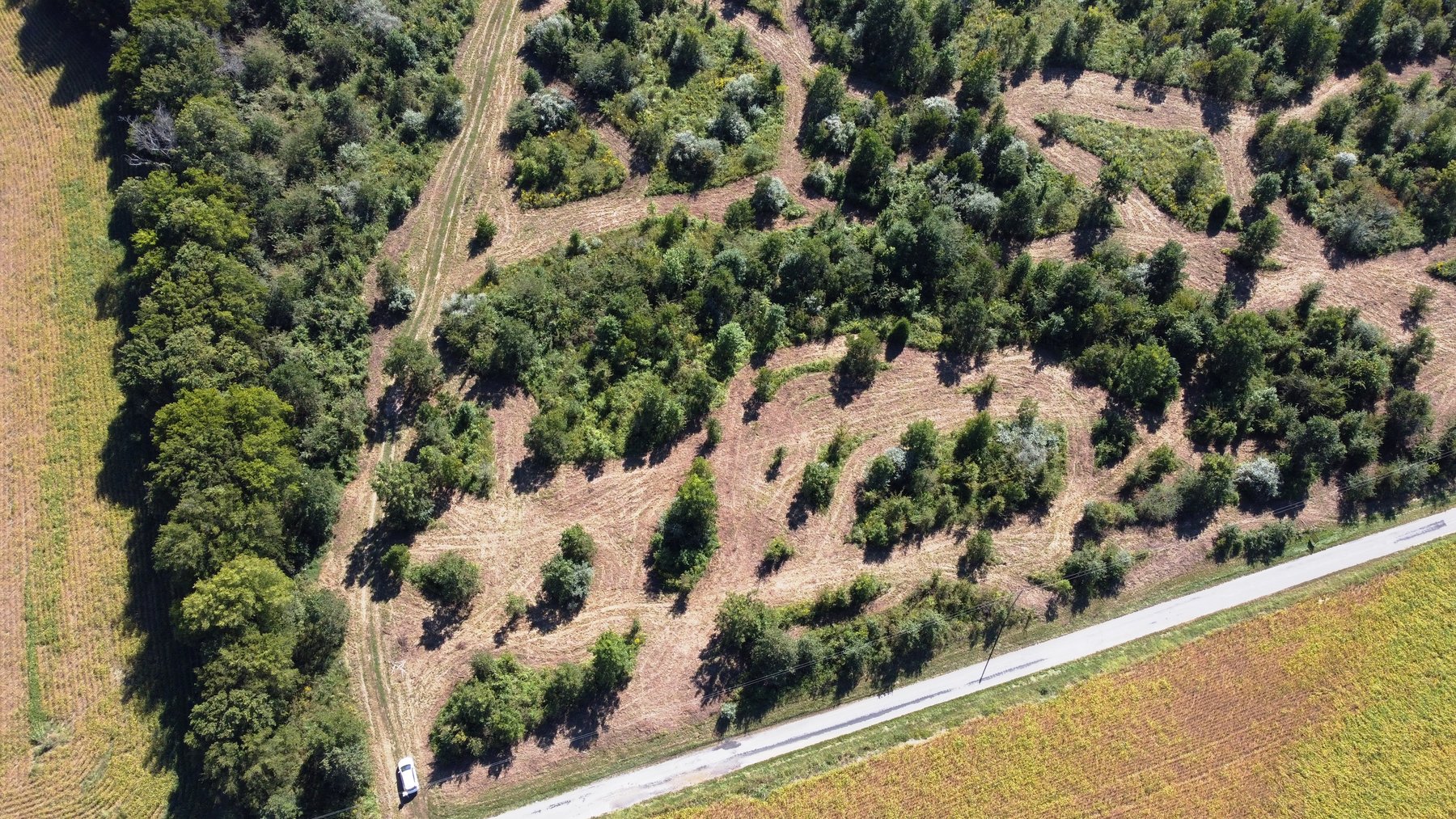 Image for ABSOLUTE LIVING ESTATE AUCTION