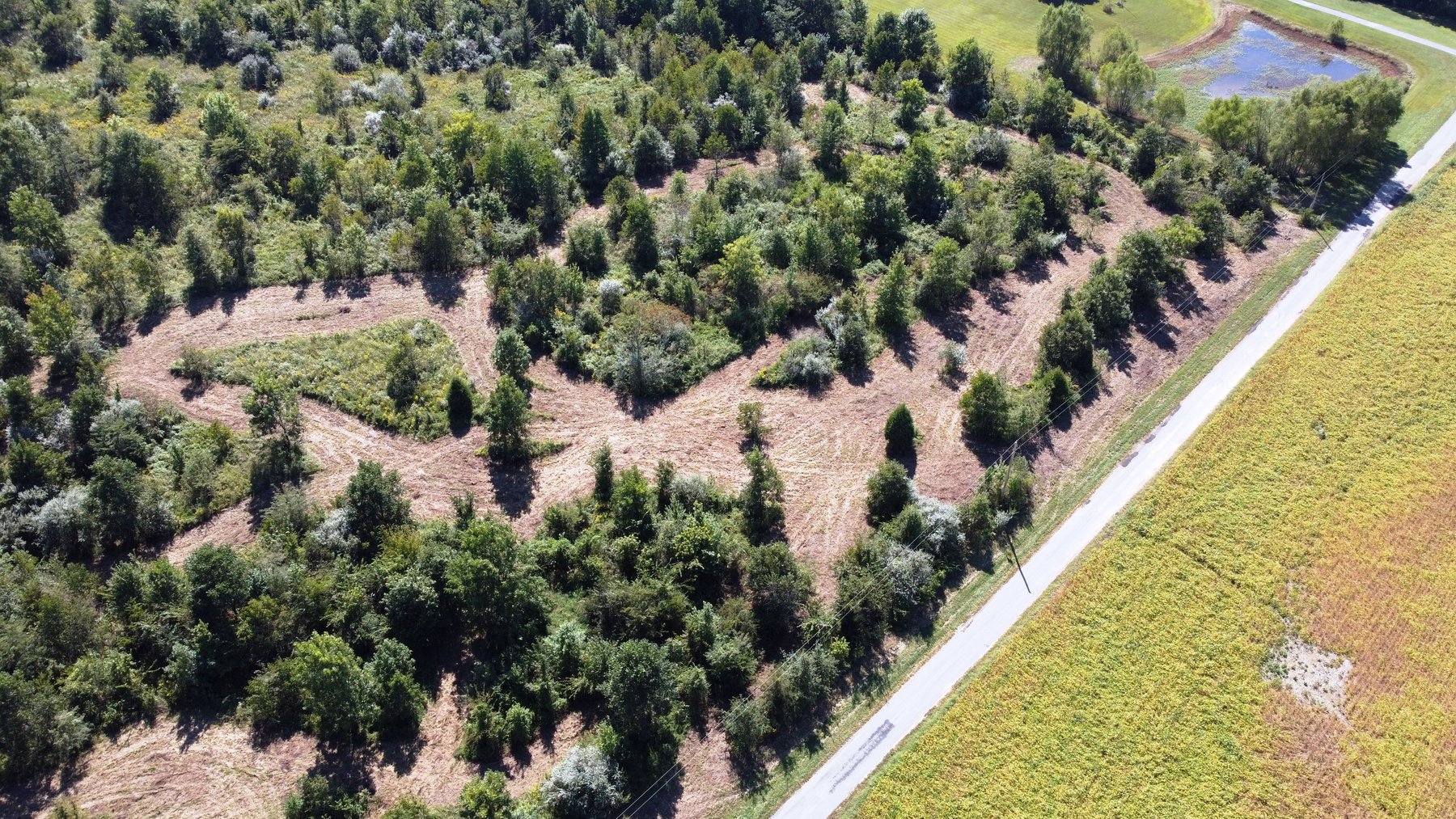 Image for ABSOLUTE LIVING ESTATE AUCTION