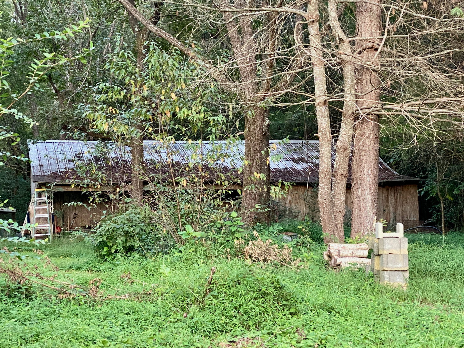 Image for Historic 3 BR Home & Several Outbuildings on 4 +/- acres in Stafford County, VA--SELLS to the HIGHEST BIDDER!!