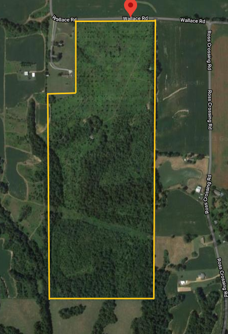 Image for ABSOLUTE LIVING ESTATE AUCTION