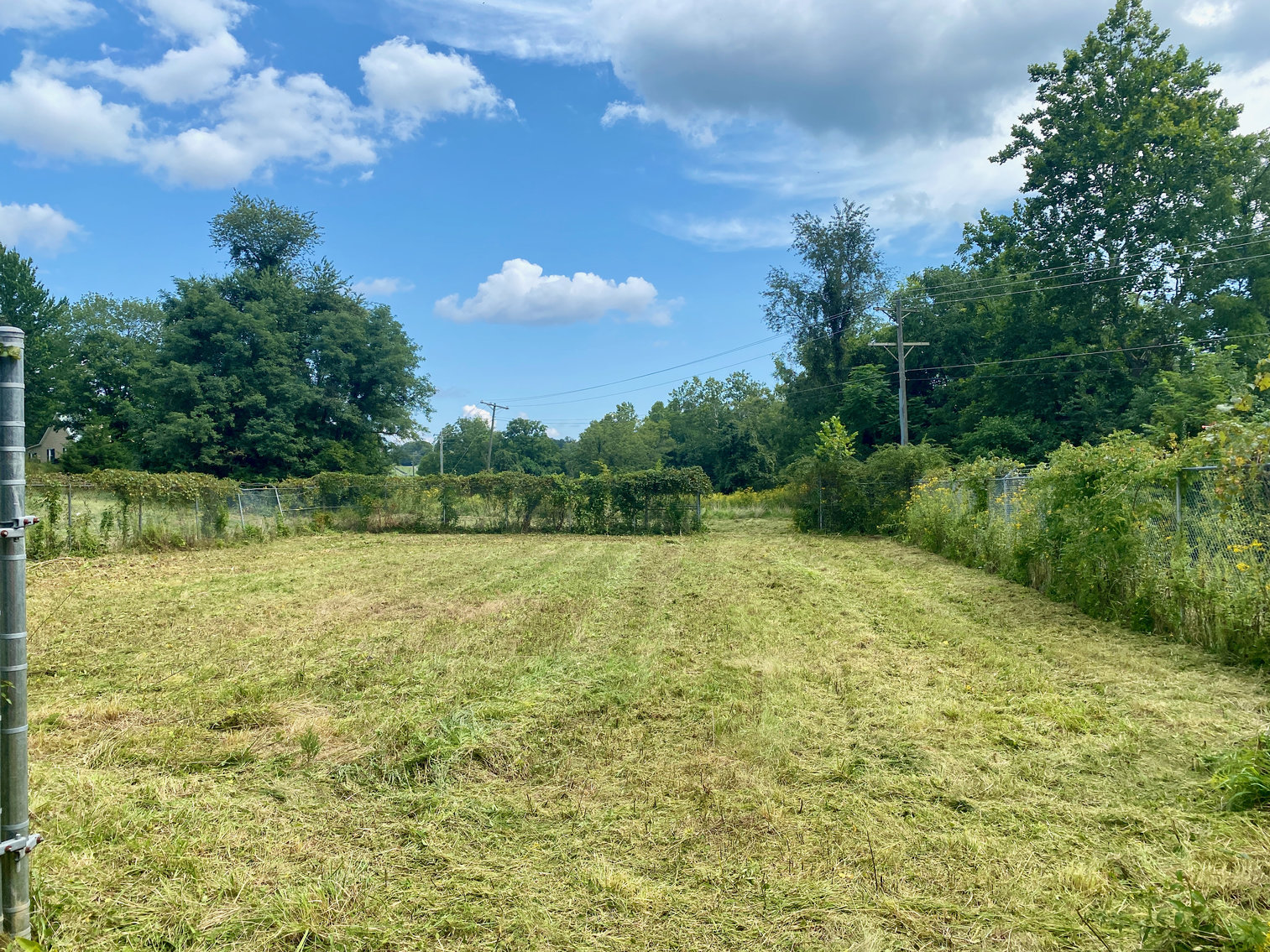 Image for 3.57 +/- Acre Parcel w/Fenced Storage Lot in Orange County, VA--ONLINE ONLY BIDDING!!