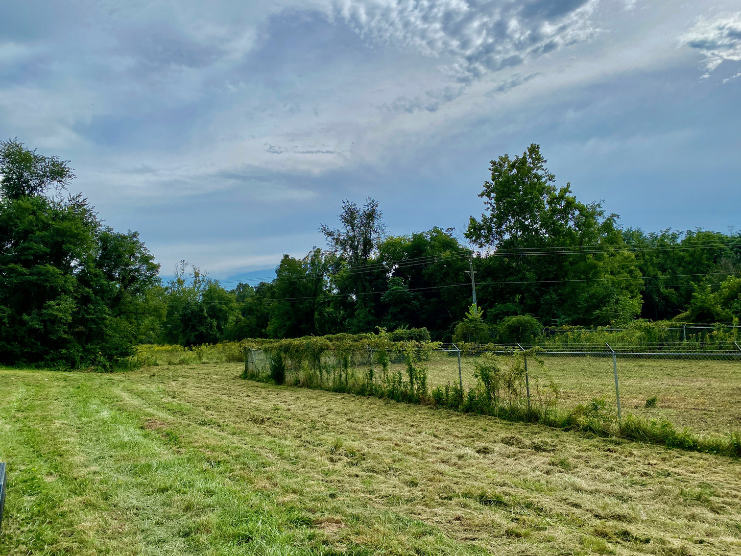 Image for 3.57 +/- Acre Parcel w/Fenced Storage Lot in Orange County, VA--ONLINE ONLY BIDDING!!
